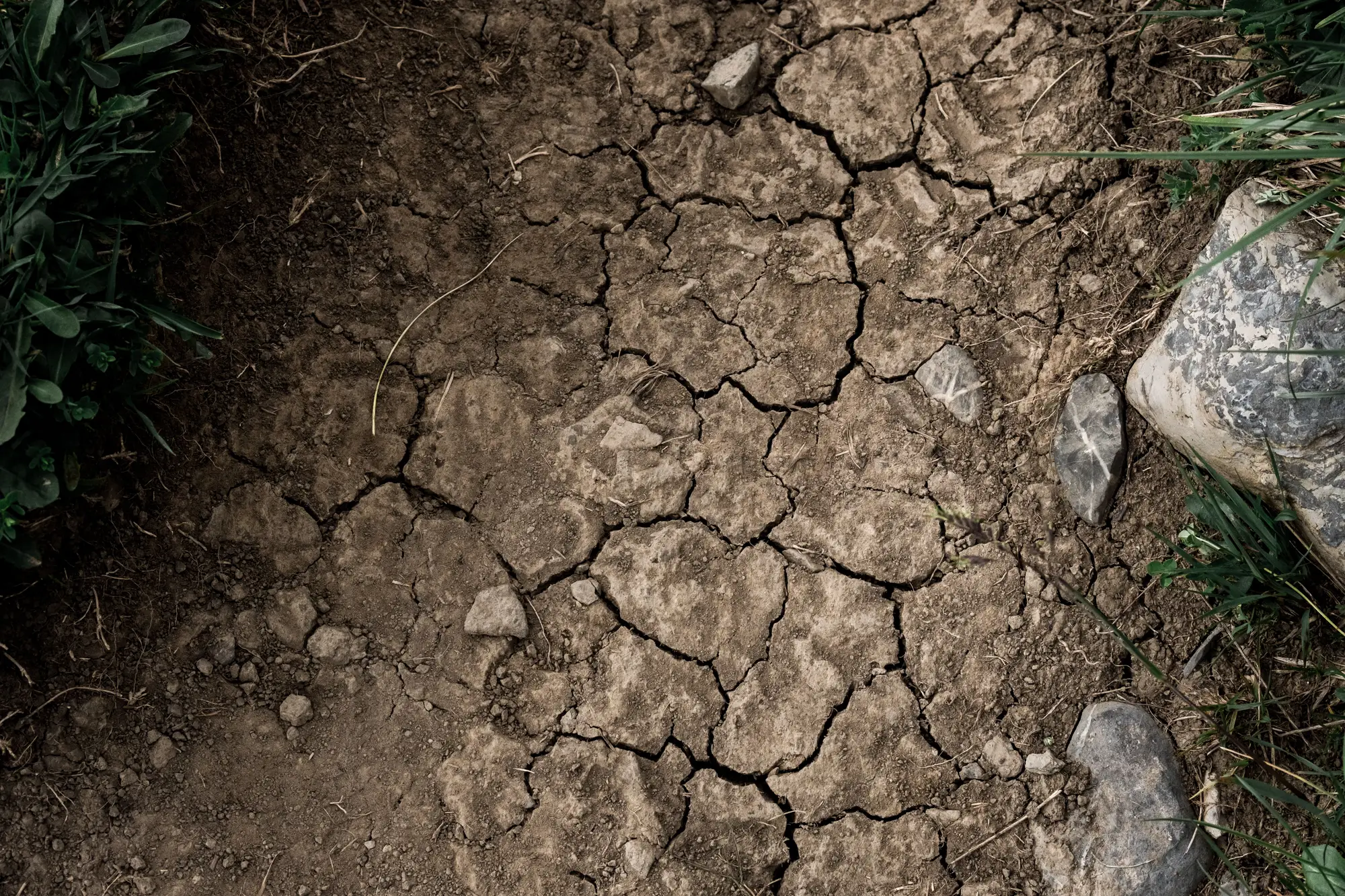 Dried clay at the surface, split into plates by a long dry spell